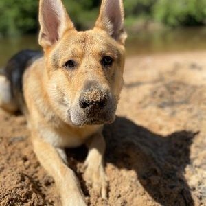 Meet your Posher, Brianna